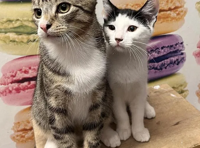 2 Mikes Kwatera prywatna Dublin